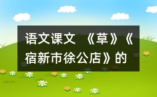 語文課文  《草》、《宿新市徐公店》的教學(xué)設(shè)計(jì)與教學(xué)反思