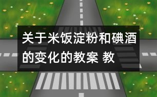 關(guān)于米飯、淀粉和碘酒的變化的教案 教學(xué)設(shè)計(jì)  新教科版六年級(jí)下冊(cè)科學(xué)教案