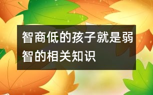 智商低的孩子就是弱智的相關知識