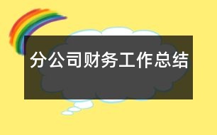 分公司財務工作總結