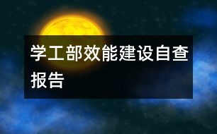 學工部效能建設(shè)自查報告