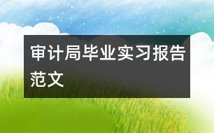 審計(jì)局畢業(yè)實(shí)習(xí)報告范文