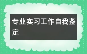 專業(yè)實習(xí)工作自我鑒定