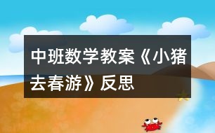 中班數學教案《小豬去春游》反思