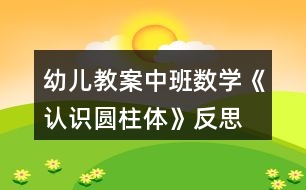 幼兒教案中班數(shù)學(xué)《認識圓柱體》反思