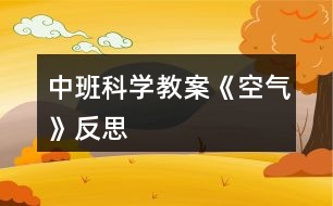 中班科學教案《空氣》反思