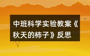 中班科學(xué)實驗教案《秋天的柿子》反思