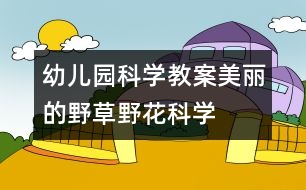 幼兒園科學教案：美麗的野草、野花（科學）
