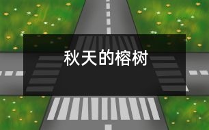 秋天的榕樹(shù)