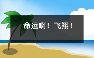 命運??！飛翔！