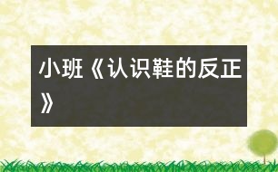 小班《認(rèn)識鞋的反正》
