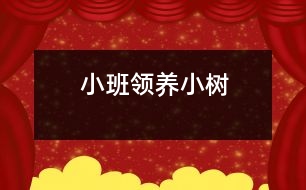 小班：領養(yǎng)小樹