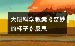 大班科學教案《奇妙的杯子》反思