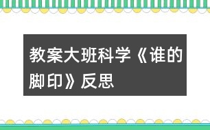 教案大班科學(xué)《誰(shuí)的腳印》反思