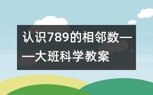 認(rèn)識7、8、9的相鄰數(shù)――大班科學(xué)教案