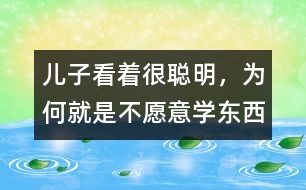 兒子看著很聰明，為何就是不愿意學(xué)東西
