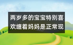 兩歲多的寶寶特別喜歡纏著媽媽是正?，F(xiàn)象