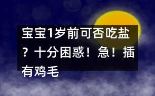 寶寶1歲前可否吃鹽？十分困惑！急！插有雞毛的求助信?。?！