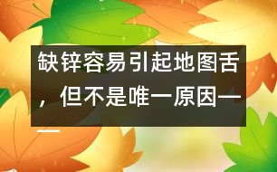 缺鋅容易引起地圖舌，但不是唯一原因――洪昭毅回答