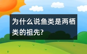為什么說(shuō)魚(yú)類是兩棲類的祖先?