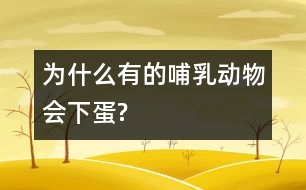 為什么有的哺乳動(dòng)物會下蛋?