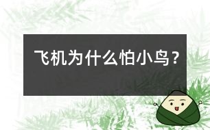 飛機(jī)為什么怕小鳥(niǎo)？