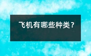 飛機有哪些種類？