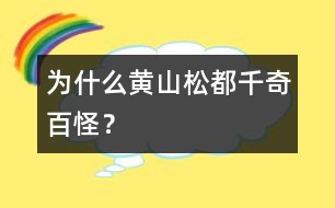 為什么黃山松都千奇百怪？