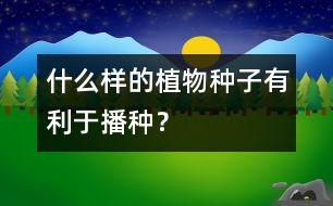 什么樣的植物種子有利于播種？