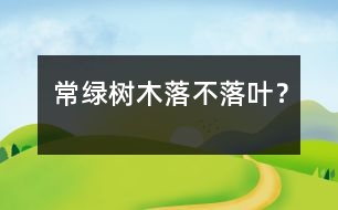 常綠樹木落不落葉？