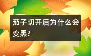 茄子切開(kāi)后為什么會(huì)變黑?