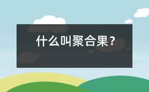 什么叫聚合果？