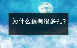 為什么藕有很多孔？
