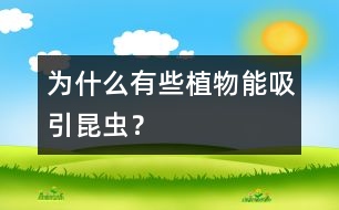 為什么有些植物能吸引昆蟲？