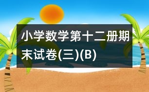 小學(xué)數(shù)學(xué)第十二冊(cè)期末試卷(三)(B)